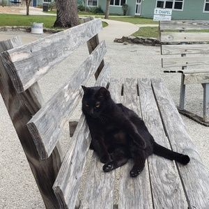 Meet your Posher, Rose